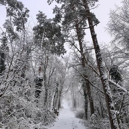 Rabenlay * Oberneisen
